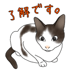 ねこ×ねこお返事Part2