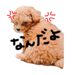 むつこのぶすこ２