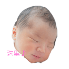 珠里ちゃん誕生！