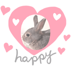 うさぎのピザくん