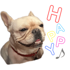 #3 わたし、大福！構えワン！