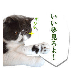 猫アパ！みニャさまスタンプ2