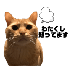 むぎスタンプ【時々方言】