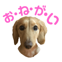 おおちゃん！！