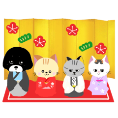 くろちゃん的な日々 11