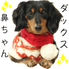 ダックス鼻ちゃんスタンプ