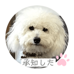 ハルタロウのあいさつ3