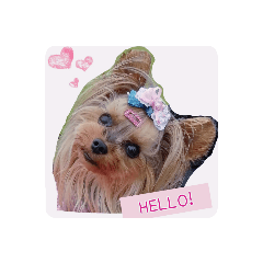 ヨーキーつくたんスタンプ