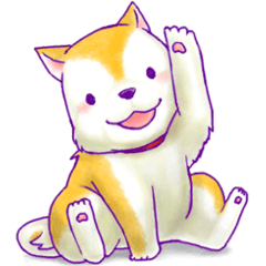 ほんわかアニマルzoo～柴犬編～