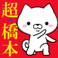 超★橋本なイヌ