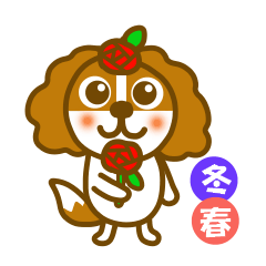 キャバリア犬 冬春