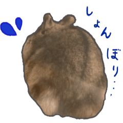 ハムスターで表す心の気持ち