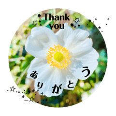 花の挨拶スタンプ Flowers Greeting Stamp