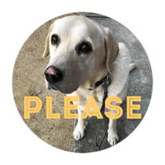 ラルフのスタンプver3.1