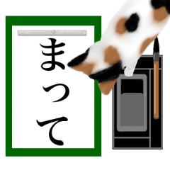 習字、ときどき猫