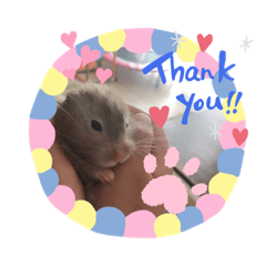 我が家の可愛い大家族 (第4弾)女子チーム