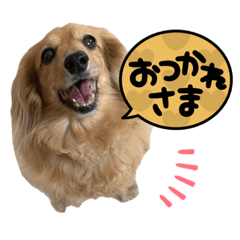 そらちゃんとうみちゃん