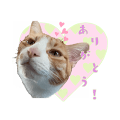 きなことニッキのスタンプ