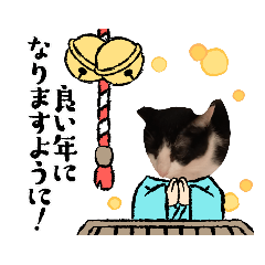 猫のるうちゃん