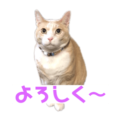 たっちくんはっくくん