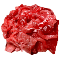 おいしそうお①/おさかな専門SSW齊藤いゆ