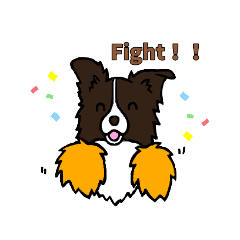 ボーダー・コリーたち