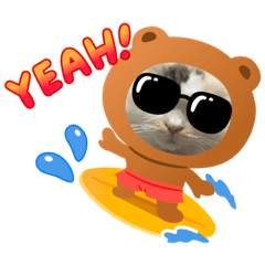 わるがきねこさん2