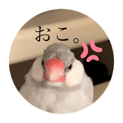 ぴちゃんのすたんぷ