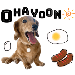 ココおじスタンプ★