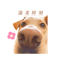 Diana_20221201182053