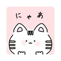 色々な物に入るにゃんこ。