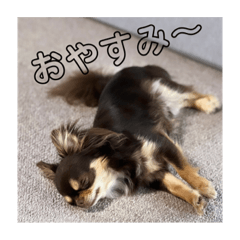 藤田こまじ オリジナルLINEスタンプ