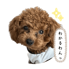 モコのメッセージ7