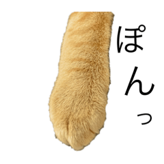 うちのばんちゃんと、実家の九ちゃん(改)