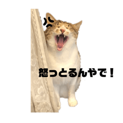 おにぎりさんとすこさん2