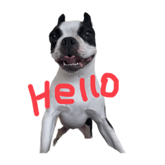 クーパーちゃま