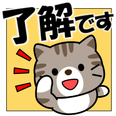 飛び出す！きじトラ猫「デカ文字」