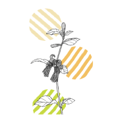 動く背景！毎日使える北欧風水彩植物修正版