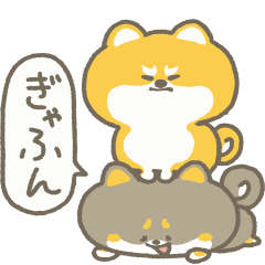 たんシバとくろシバ