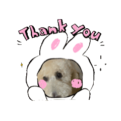 仲良しコンビのおう亮とルーナ