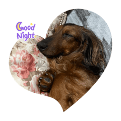 ほほえみやです