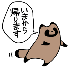 毎日連絡たぬき