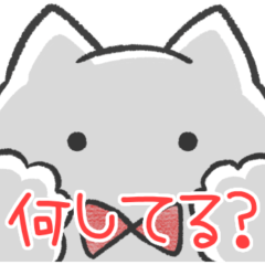 赤推しねこ(報告)