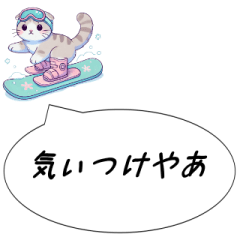 名古屋弁　スコティッシュフォールドスノボ