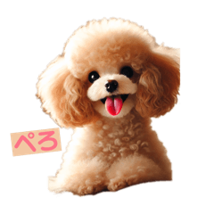 わんわんトイプードル