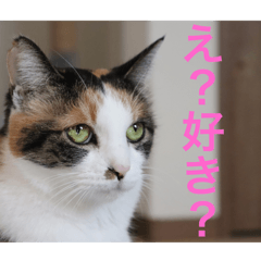 おり・ちゃちゃ・れれ