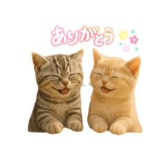 にゃんこのきもち、ふたりぶん