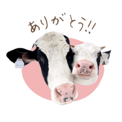 牛たちのかくれ家オリジナルスタンプ