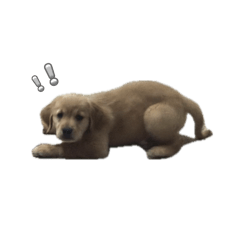 Chih Yu_20250823185402