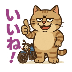 猫のおっさんライダー★まんぞう